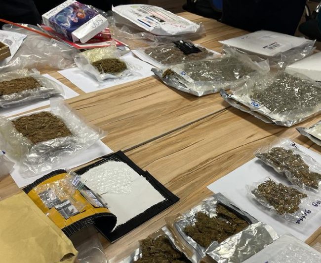 மீட்கப்பட்டது 'குஷ்'