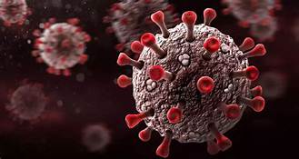 மற்றுமொரு டெல்டா திரிபு கண்டுப்பிடிப்பு