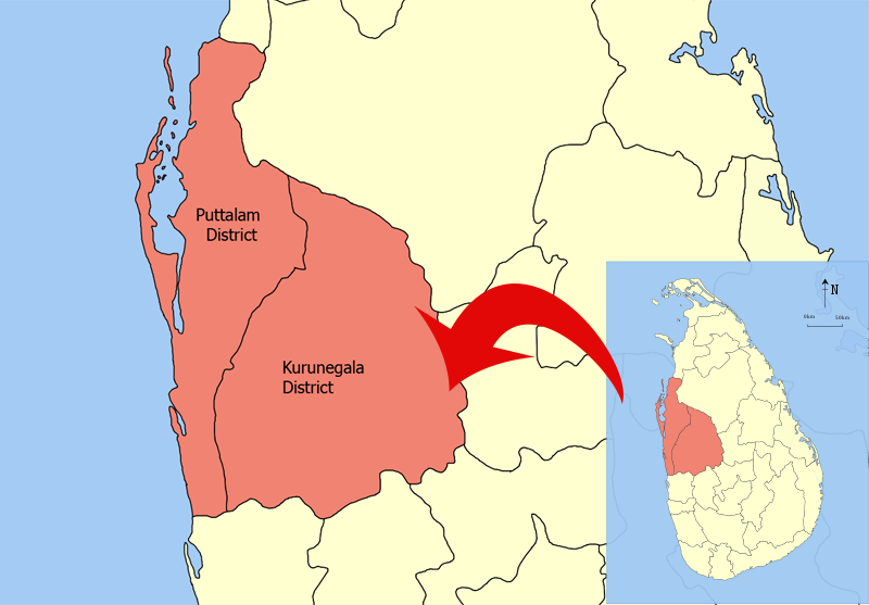 வாரியபொல பிரதேச சபை தவிசாளர் பதவி நீக்கம்