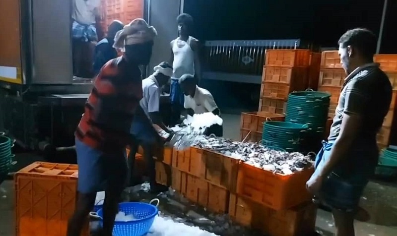 இராமேஸ்வரம் மீனவர்களுக்கு வாரிக் கொடுத்த கடல்