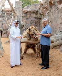 மீண்டும் இலங்கை வந்தார் கோட்டாபய ராஜபக்ஷ!