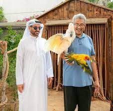 மீண்டும் இலங்கை வந்தார் கோட்டாபய ராஜபக்ஷ!