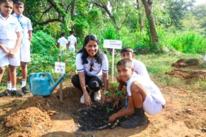இலங்கை ஒலிம்பியன்ஸ் சங்கத்தின் வருடாந்த மர நடுகை நிகழ்வு இன்று இடம்பெற்றுள்ளது!