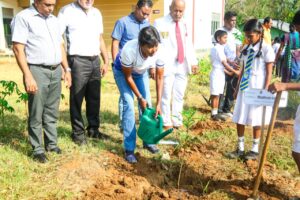 இலங்கை ஒலிம்பியன்ஸ் சங்கத்தின் வருடாந்த மர நடுகை நிகழ்வு இன்று இடம்பெற்றுள்ளது!