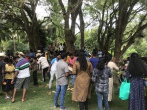 கொண்டாடிக்கழித்த  நுங்குத் திருவிழா!