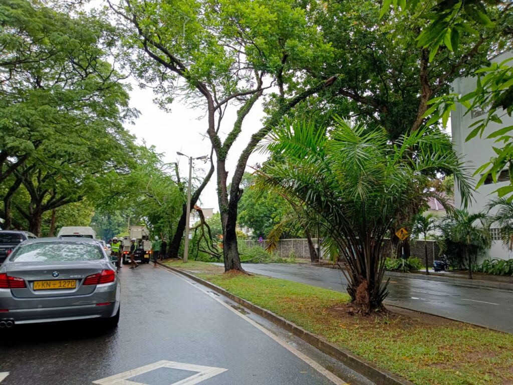 கொழும்பில் பல இடங்களிலும் மரம் முறிவு - போக்குவரத்து பாதிப்பு!