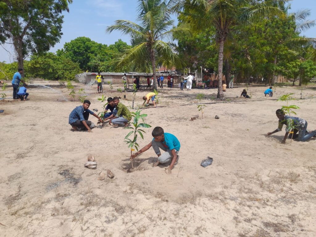 களுவாஞ்சிகுடியில் பழ மரத் தோட்டங்கள் அமைக்கும் திட்டம் ஆரம்பம்!