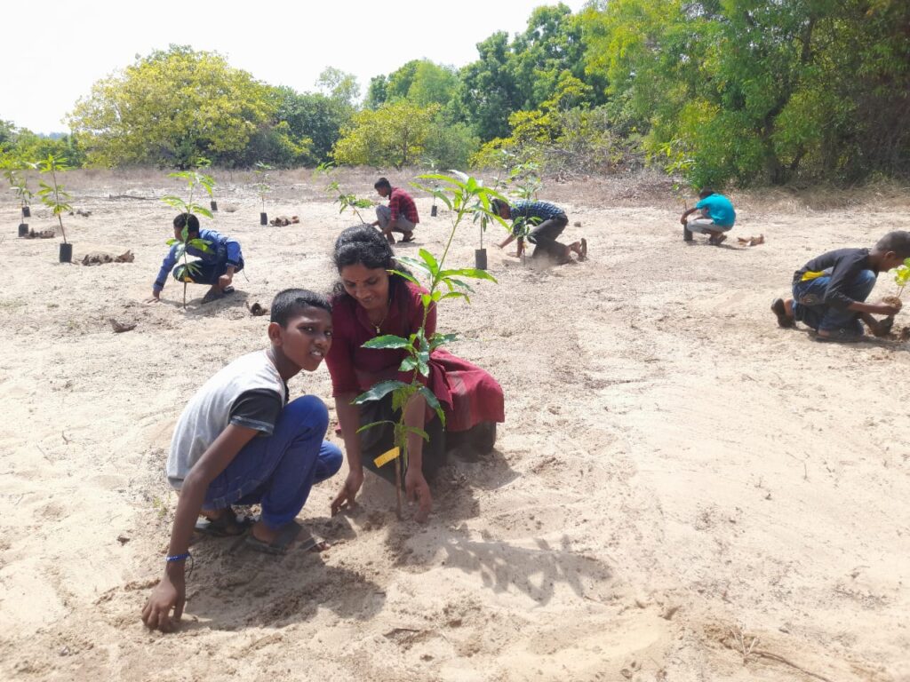 களுவாஞ்சிகுடியில் பழ மரத் தோட்டங்கள் அமைக்கும் திட்டம் ஆரம்பம்!